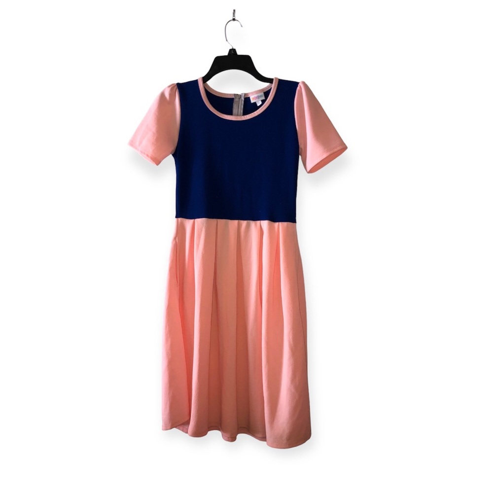 NWT-LuLaRoe Blue and Pink Amelia dress
